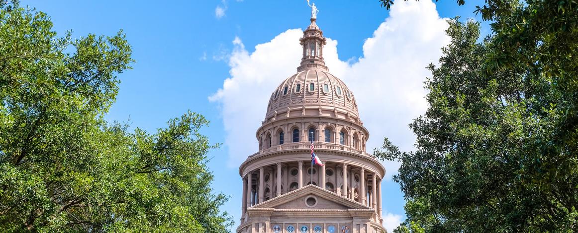 Texas Capitol framed by trees